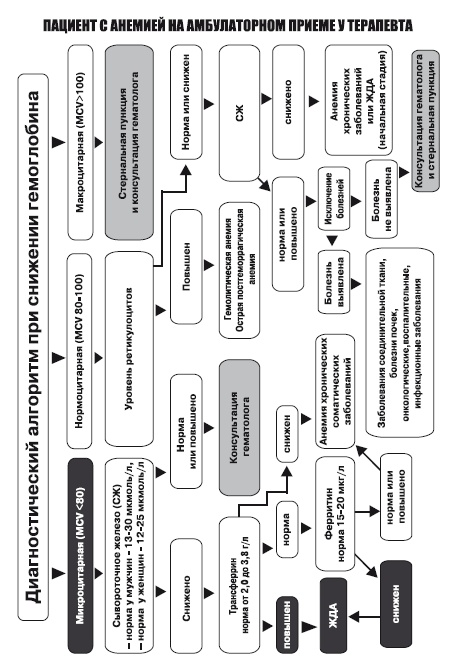 Иллюстрация к книге — Маломобильный пациент [i_062.jpg]