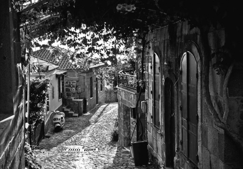 Иллюстрация к книге — Моника Беллуччи. Кто простит мне мою красоту [i_014.jpg]