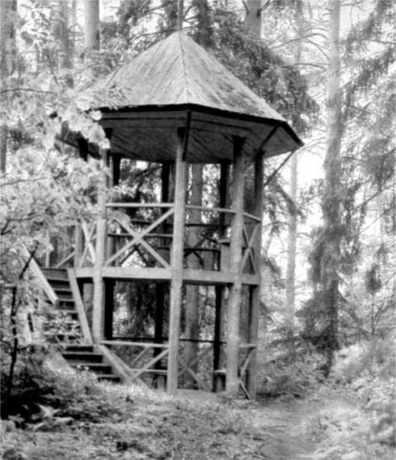 Иллюстрация к книге — Островский в Берендеевке [i_003.jpg]