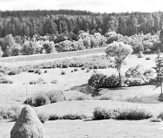 Иллюстрация к книге — Островский в Берендеевке [i_007.jpg]