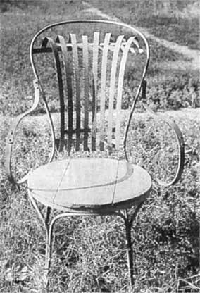 Иллюстрация к книге — Островский в Берендеевке [i_009.jpg]