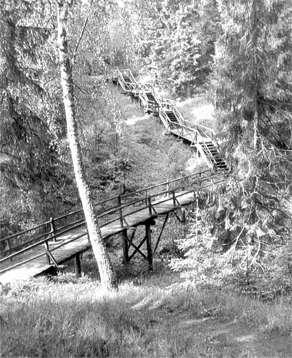 Иллюстрация к книге — Островский в Берендеевке [i_015.jpg]