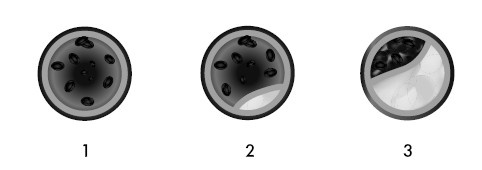 Иллюстрация к книге — Глина лечит. Артрит и артроз, остеохондроз, ушибы и ожоги, волосы и кожу [i_004.jpg]