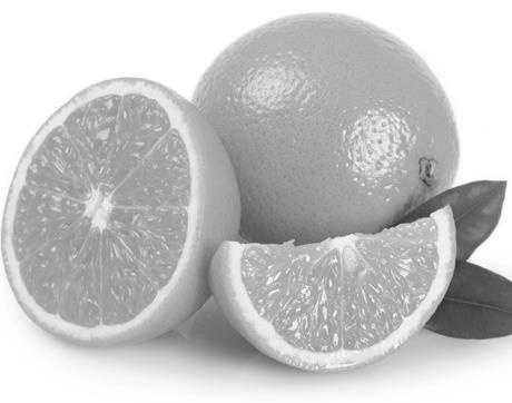 Иллюстрация к книге — Глина лечит. Артрит и артроз, остеохондроз, ушибы и ожоги, волосы и кожу [i_011.jpg]