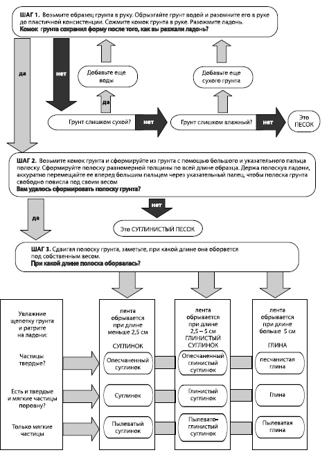 Иллюстрация к книге — Глина лечит. Артрит и артроз, остеохондроз, ушибы и ожоги, волосы и кожу [i_020.jpg]