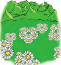 Иллюстрация к книге — Остров врунишек [i_039.jpg]