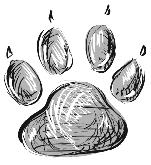 Иллюстрация к книге — Оуэн &amp; Хаати. Мальчик и его преданный пес [i_001.jpg]