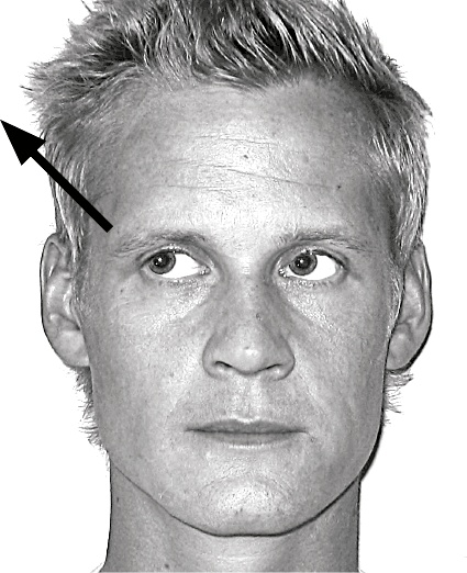 Иллюстрация к книге — Думай так, как я хочу [i_003.jpg]