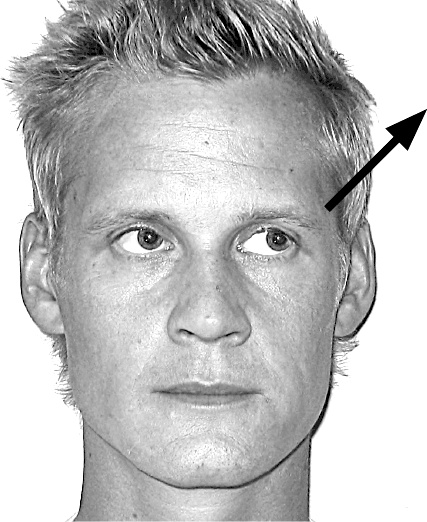 Иллюстрация к книге — Думай так, как я хочу [i_004.jpg]