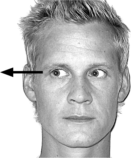 Иллюстрация к книге — Думай так, как я хочу [i_005.jpg]