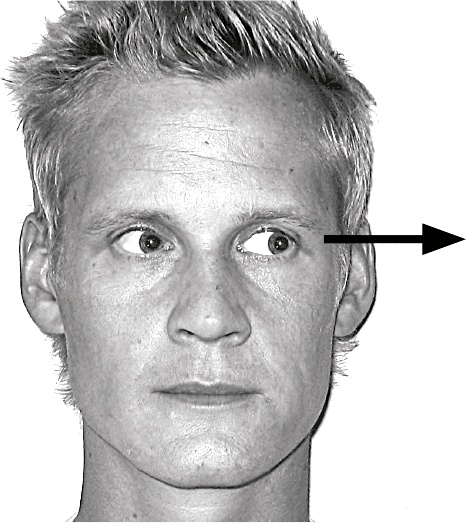 Иллюстрация к книге — Думай так, как я хочу [i_006.jpg]