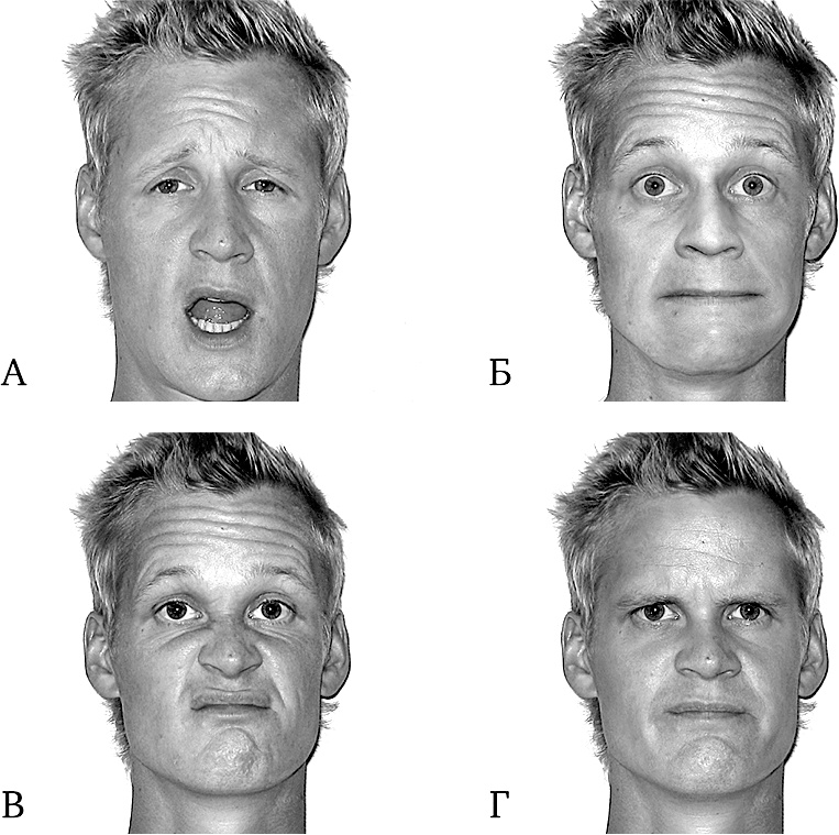 Иллюстрация к книге — Думай так, как я хочу [i_036.jpg]