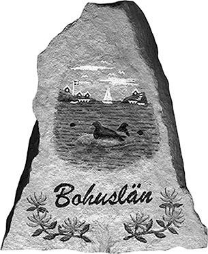 Иллюстрация к книге — Думай так, как я хочу [i_039.jpg]