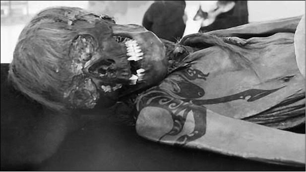 Иллюстрация к книге — 100 великих тайн медицины [i_009.jpg]