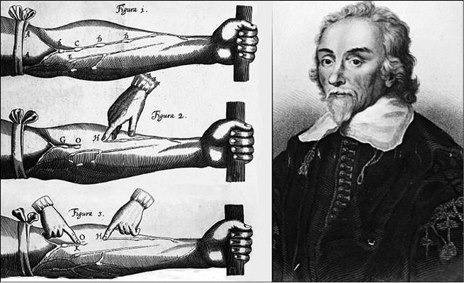 Иллюстрация к книге — 100 великих тайн медицины [i_018.jpg]