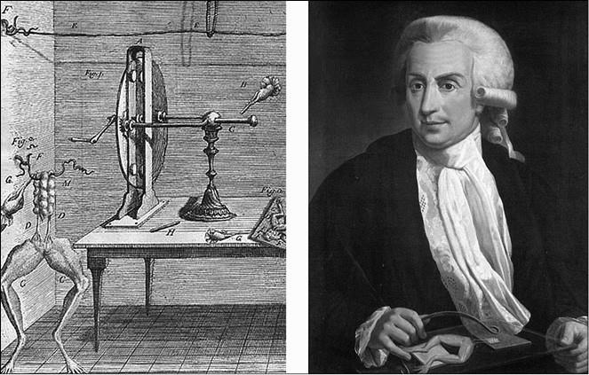 Иллюстрация к книге — 100 великих тайн медицины [i_021.jpg]