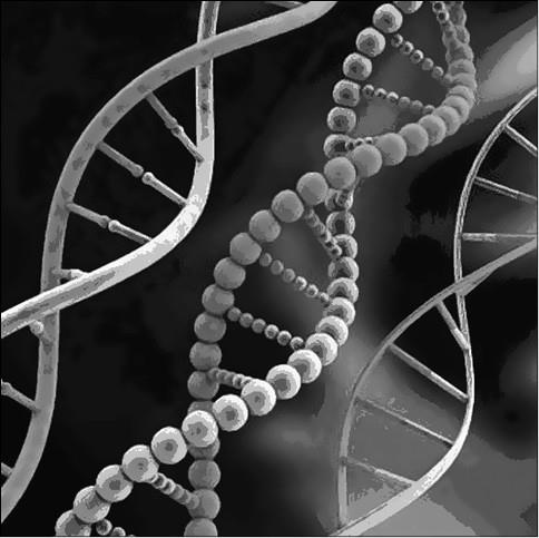 Иллюстрация к книге — 100 великих тайн медицины [i_034.jpg]