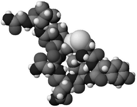 Иллюстрация к книге — 100 великих тайн медицины [i_040.jpg]