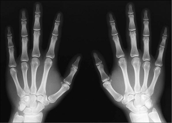 Иллюстрация к книге — 100 великих тайн медицины [i_060.jpg]