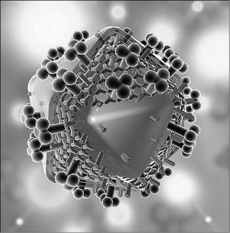 Иллюстрация к книге — 100 великих тайн медицины [i_062.jpg]