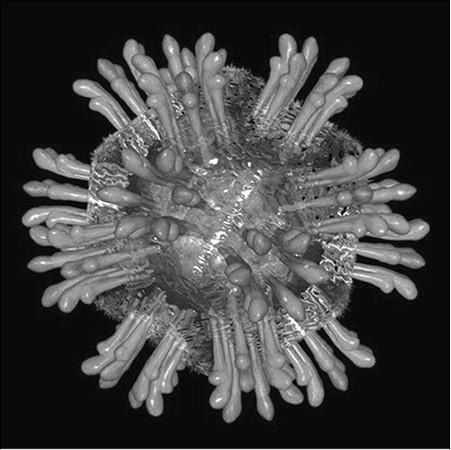 Иллюстрация к книге — 100 великих тайн медицины [i_063.jpg]