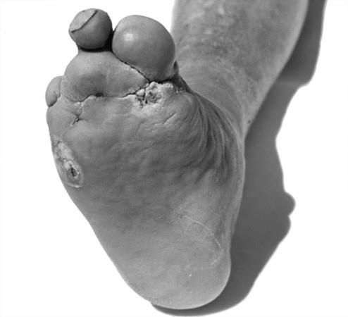 Иллюстрация к книге — 100 великих тайн медицины [i_065.jpg]