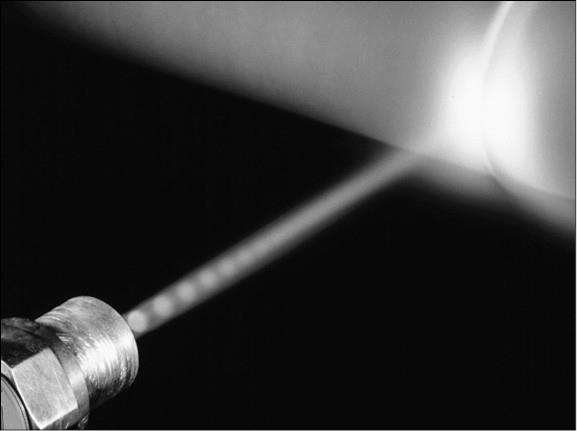 Иллюстрация к книге — 100 великих тайн медицины [i_075.jpg]