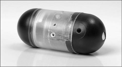 Иллюстрация к книге — 100 великих тайн медицины [i_076.jpg]