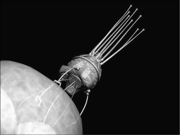 Иллюстрация к книге — 100 великих тайн медицины [i_077.jpg]