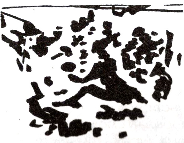 Иллюстрация к книге — Карманный Оракул. Парные события во сне и наяву [i_002.jpg]