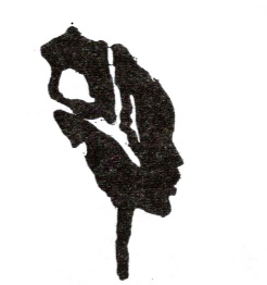 Иллюстрация к книге — Карманный Оракул. Парные события во сне и наяву [i_010.jpg]