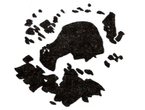 Иллюстрация к книге — Карманный Оракул. Парные события во сне и наяву [i_012.jpg]