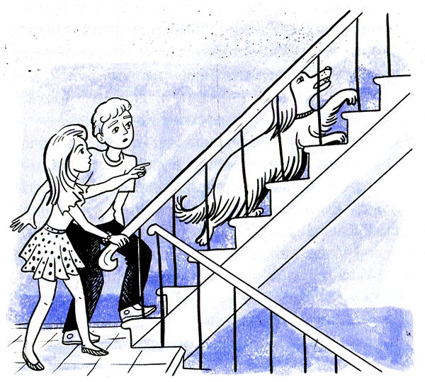 Иллюстрация к книге — Ты любишь науку или нет? [i_022.jpg]