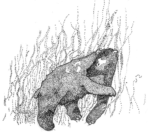 Иллюстрация к книге — Жили-были-видели… [i_020.jpg]