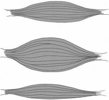 Иллюстрация к книге — Детская и подростковая релаксационная терапия. Практикум [_05.jpg]