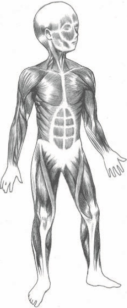 Иллюстрация к книге — Детская и подростковая релаксационная терапия. Практикум [_13.jpg]