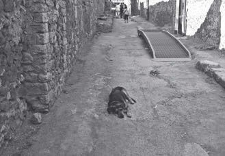 Иллюстрация к книге — Метафорические карты. Руководство для психолога [_06.jpg]