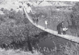 Иллюстрация к книге — Метафорические карты. Руководство для психолога [_23.jpg]