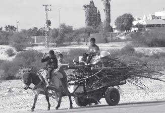 Иллюстрация к книге — Метафорические карты. Руководство для психолога [_28.jpg]