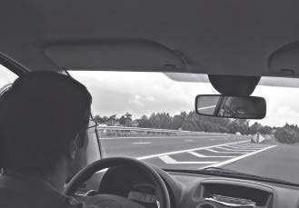 Иллюстрация к книге — Метафорические карты. Руководство для психолога [_31.jpg]