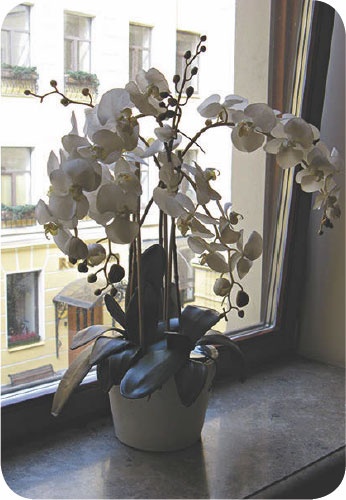 Иллюстрация к книге — Метафорические карты. Руководство для психолога [_46.jpg]