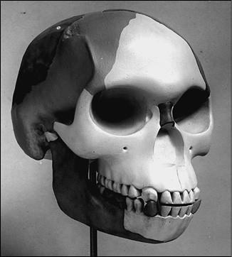 Иллюстрация к книге — 100 великих курьезов истории [i_001.jpg]