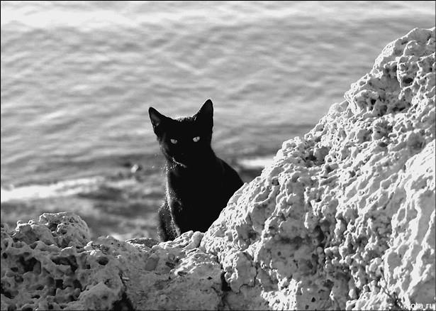 Иллюстрация к книге — 100 великих курьезов истории [i_039.jpg]