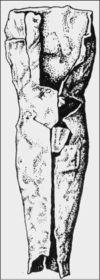 Иллюстрация к книге — 100 великих курьезов истории [i_077.jpg]