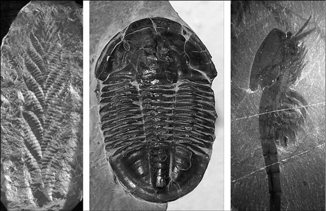 Иллюстрация к книге — 100 великих тайн Библии [i_003.jpg]