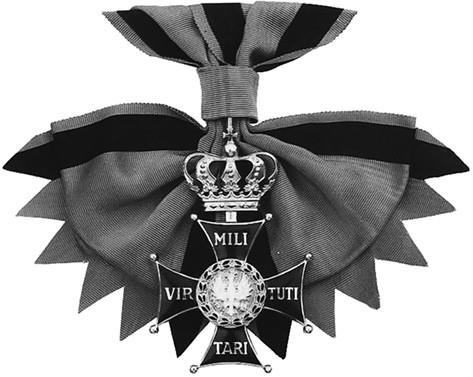 Иллюстрация к книге — 100 великих наград мира [i_065.jpg]