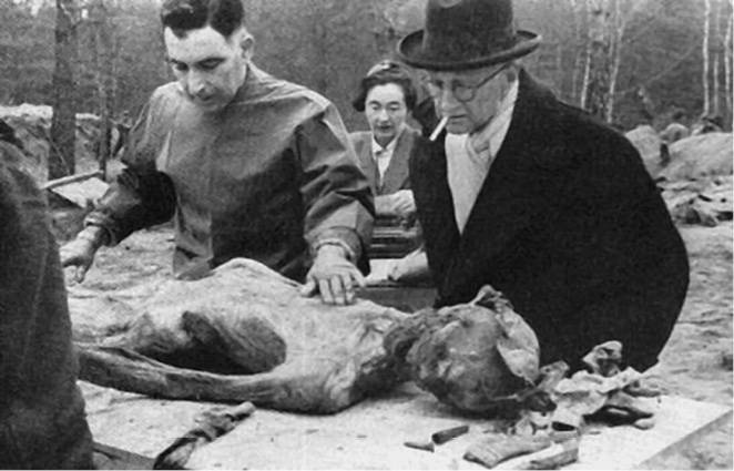 Иллюстрация к книге — 100 великих тайн Второй мировой [i_014.jpg]