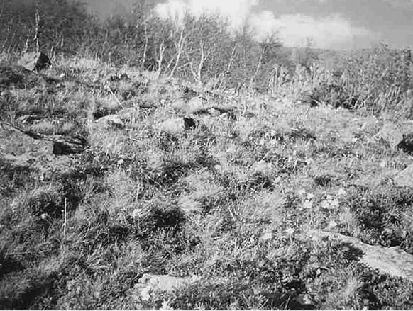 Иллюстрация к книге — 100 великих тайн Второй мировой [i_082.jpg]