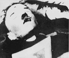 Иллюстрация к книге — 100 великих тайн Второй мировой [i_089.jpg]