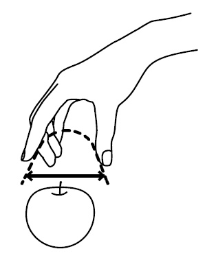 Иллюстрация к книге — Пространство мышления. Соображения [i_002.jpg]